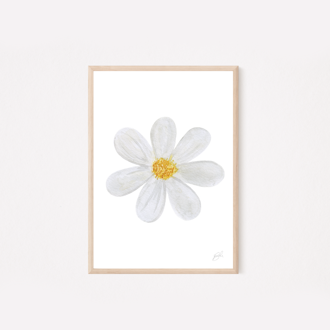 Daisy - Watercolor Print